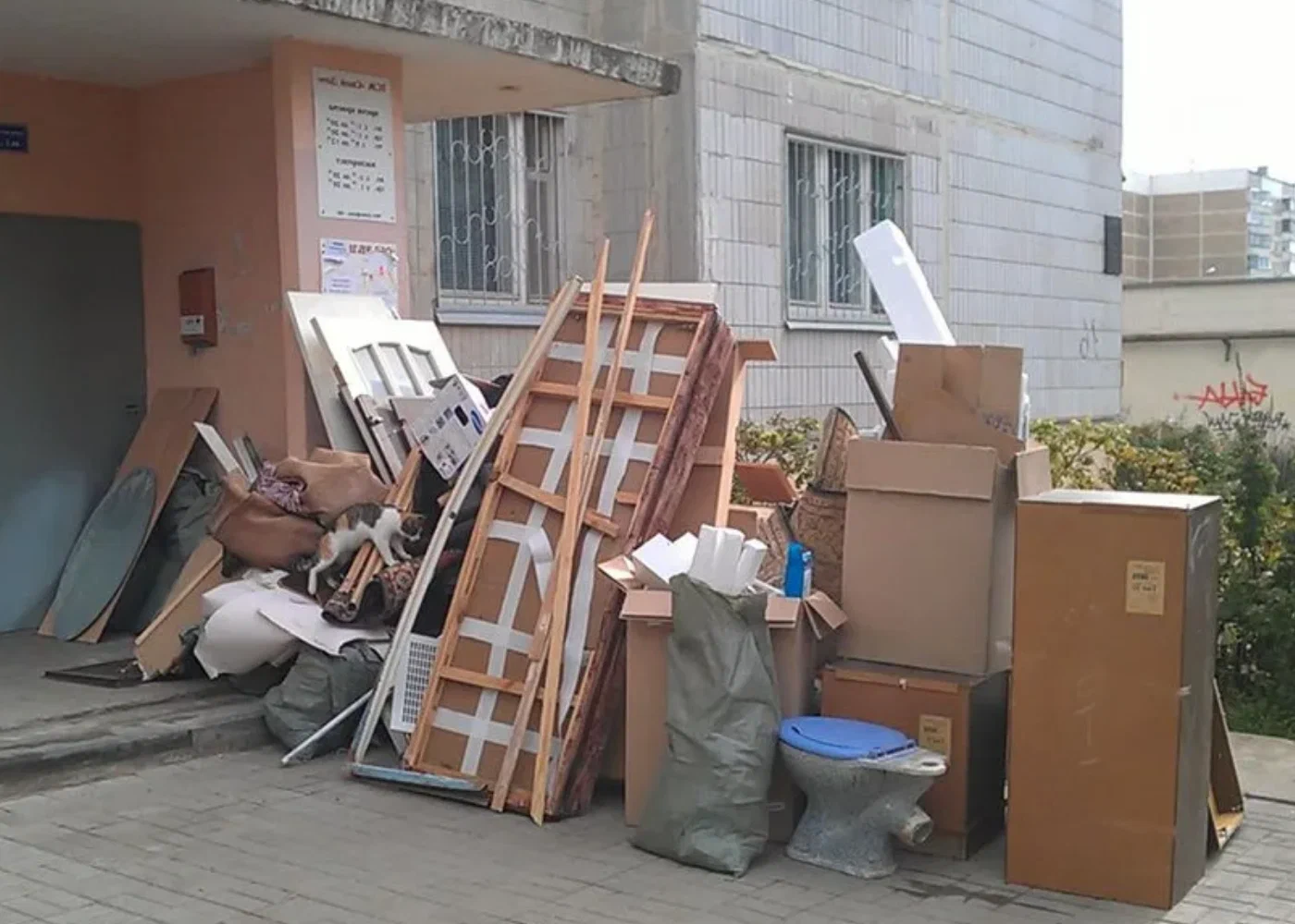 Профессиональный вывоз мусора из квартиры в Хабаровске в октябре