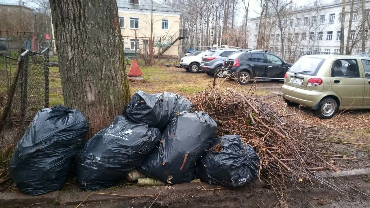 Вывоз мусора после субботника в Хабаровске от ПроМусор – уборка и утилизация отходов от 2418 руб