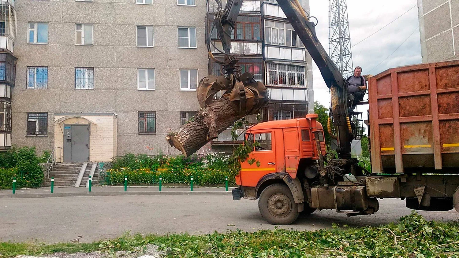 Вывоз спиленных веток и деревьев в Хабаровске от ПроМусор: порубочные остатки, утилизация, цена от 2984 руб