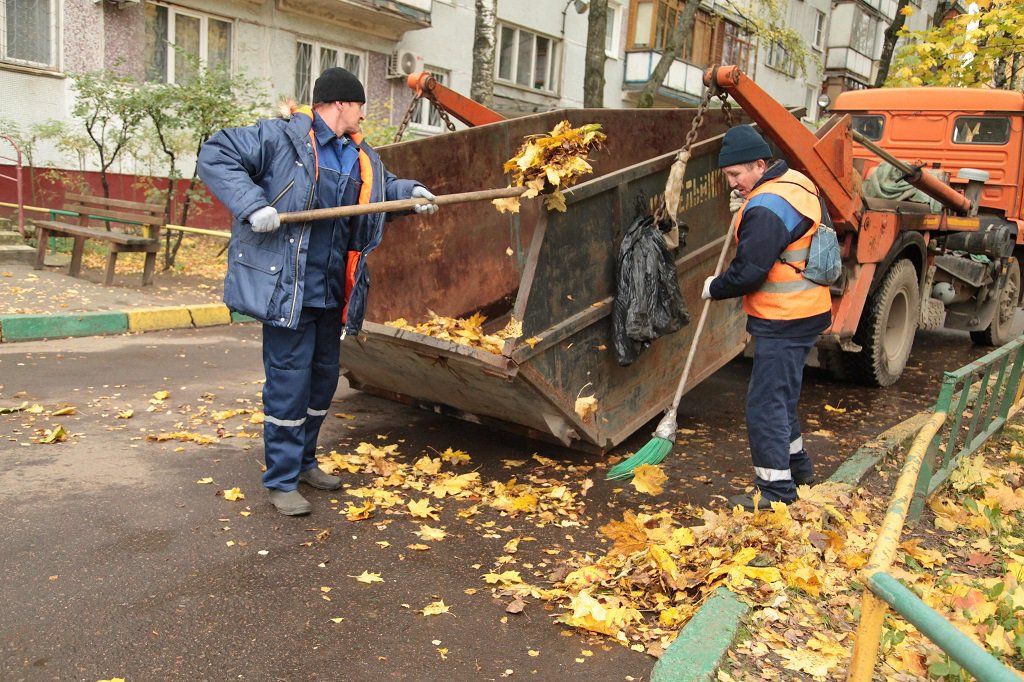 Вывоз опавшей листвы и растительного мусора в Хабаровске от ПроМусор – цена от 4630 руб., быстрая уборка и утилизация